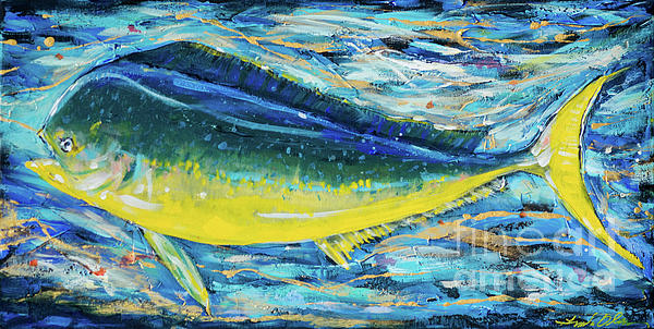Dorado by Linda Olsen Dorado by Linda Olsen